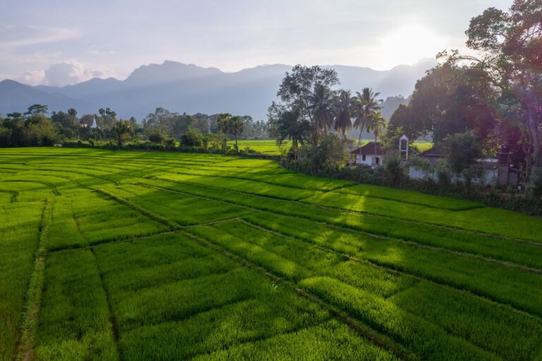 Unveiling Secret Spots: Travel Like a Local